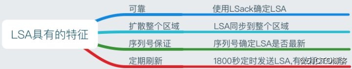 OSPF详解-3 邻接、度量值